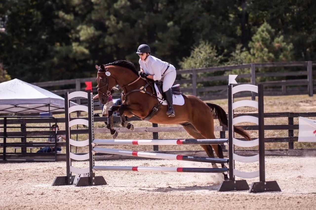 https://marigoldstables.com/wp-content/uploads/2025/10/Adante-1.jpg