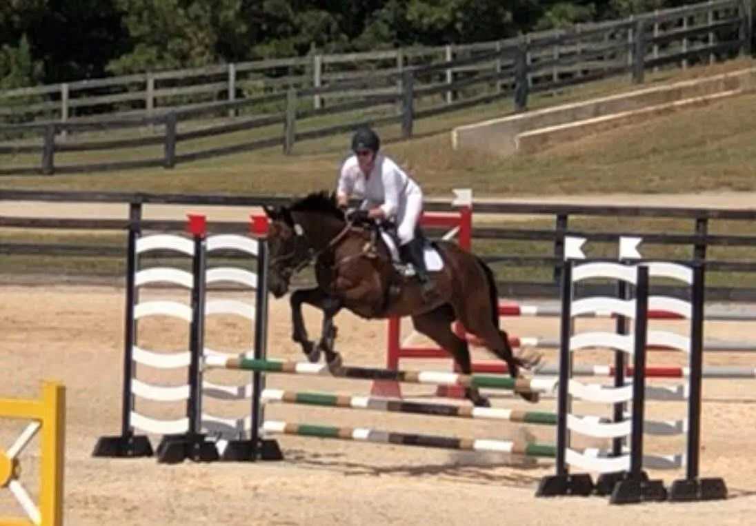 https://marigoldstables.com/wp-content/uploads/2025/10/Adante-2.jpg