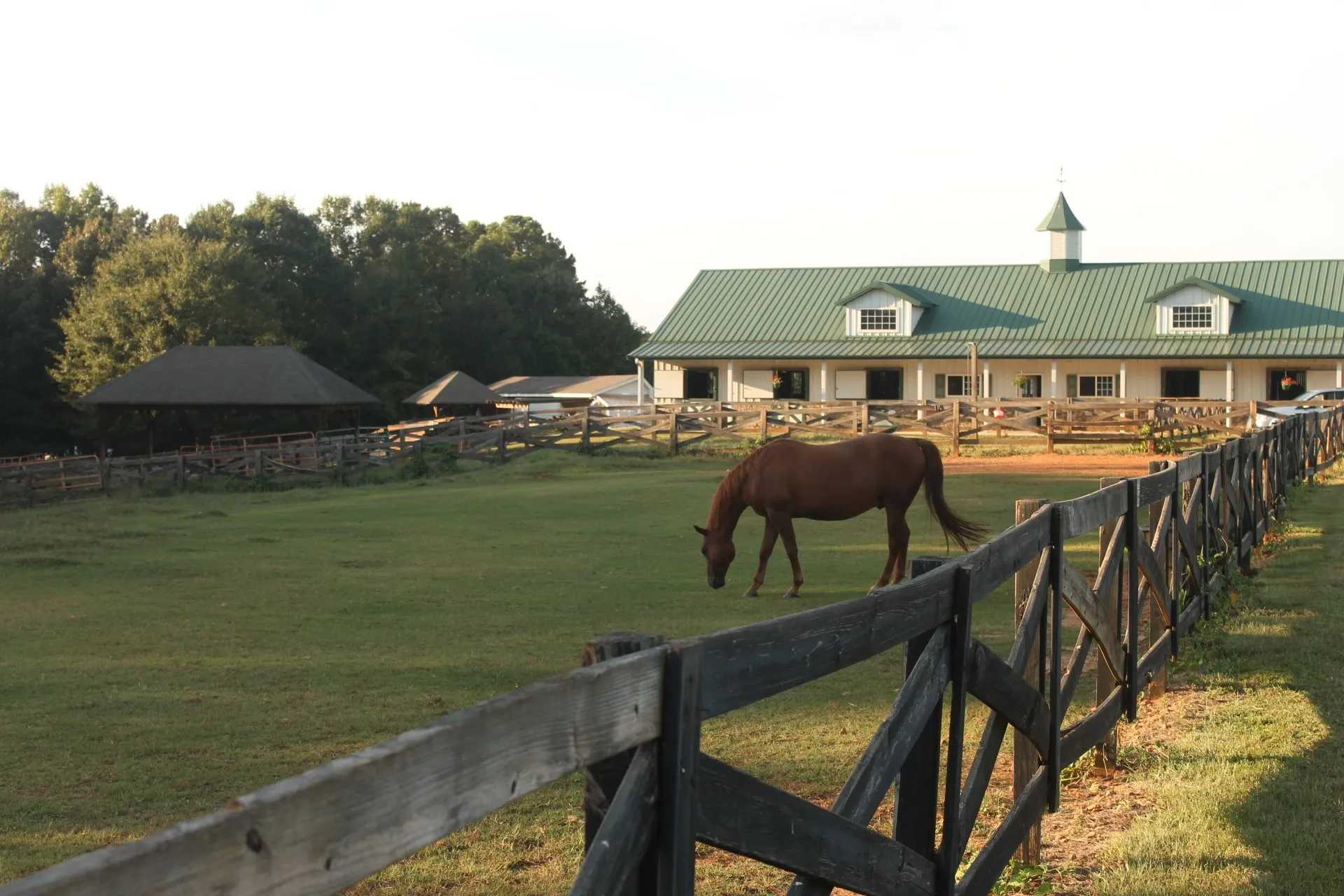 https://marigoldstables.com/wp-content/uploads/2025/10/Boarding-item-1.jpg