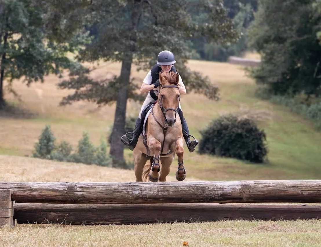 https://marigoldstables.com/wp-content/uploads/2025/10/cain-1.jpg