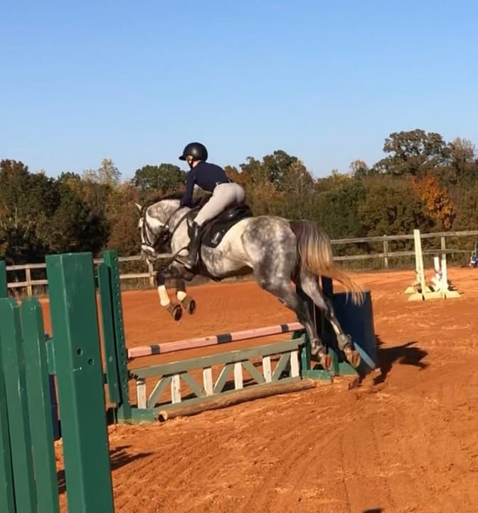 https://marigoldstables.com/wp-content/uploads/2025/11/image5.jpg