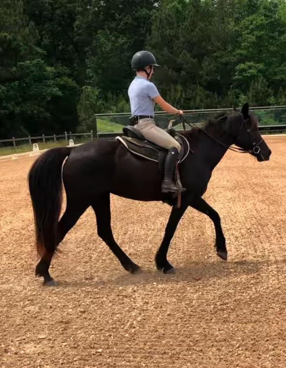 https://marigoldstables.com/wp-content/uploads/2026/05/Screenshot-2026-05-21-at-10.31.01-AM.png