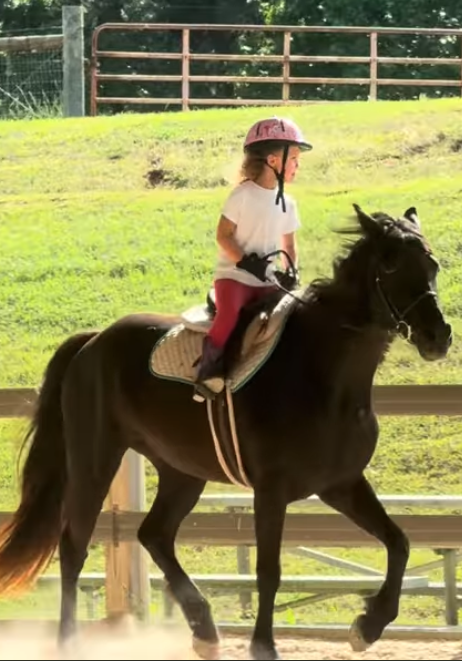 https://marigoldstables.com/wp-content/uploads/2026/05/Screenshot-2026-05-21-at-10.31.32-AM.png