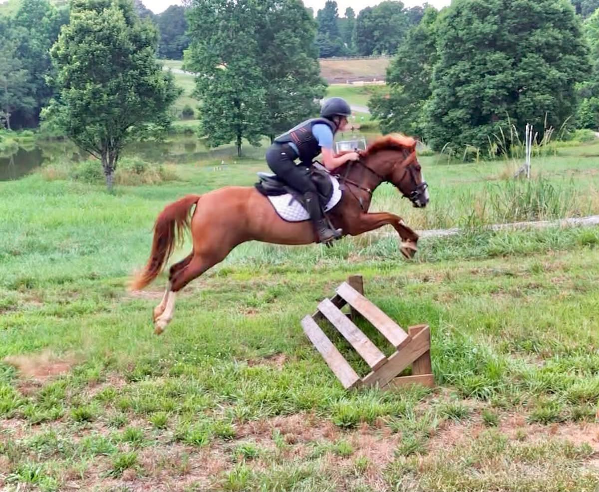 https://marigoldstables.com/wp-content/uploads/2026/07/IMG_0458.jpg