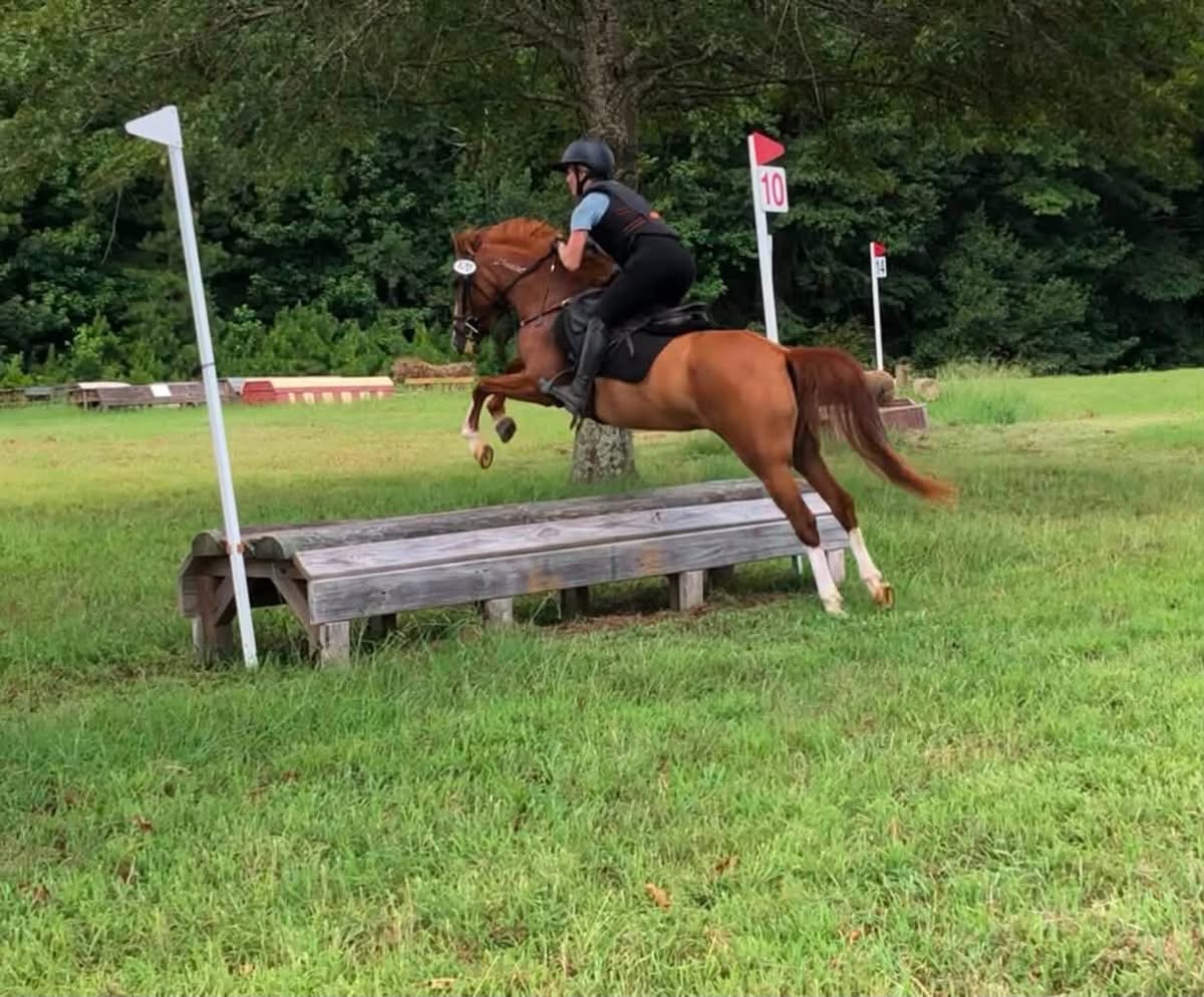 https://marigoldstables.com/wp-content/uploads/2026/07/IMG_0460.jpg