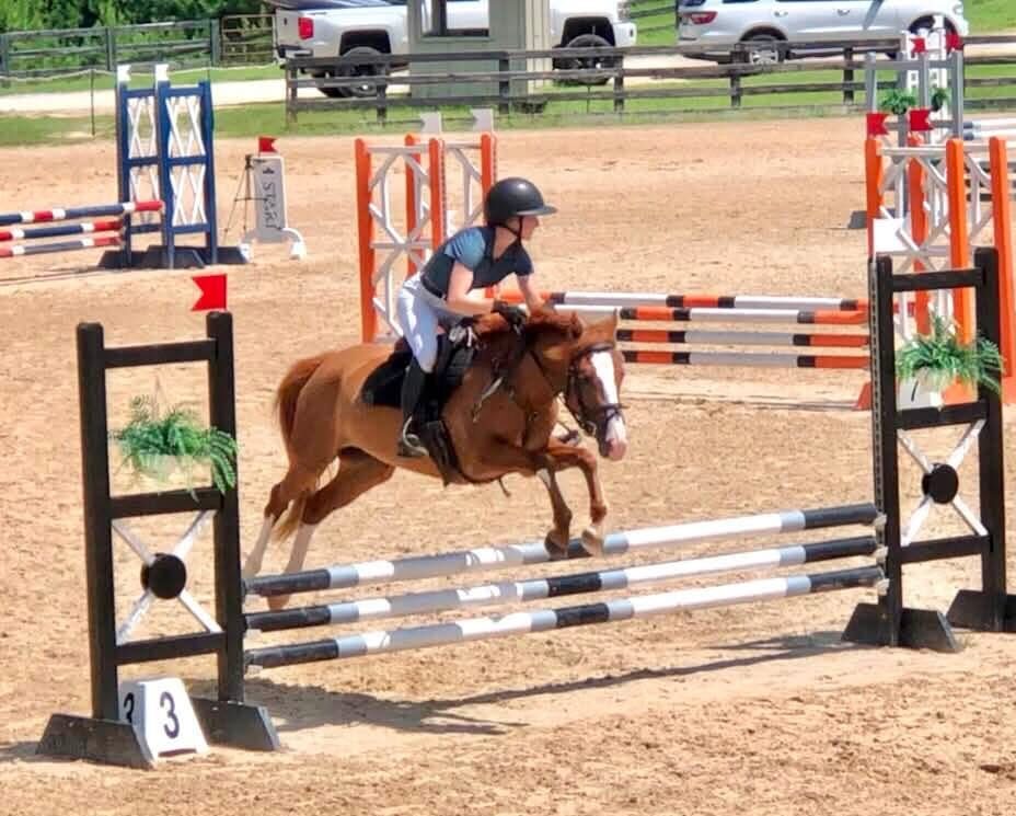 https://marigoldstables.com/wp-content/uploads/2026/07/IMG_0462-e1784667011672.jpg